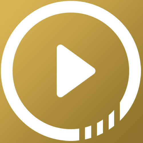 Logo zlat CM